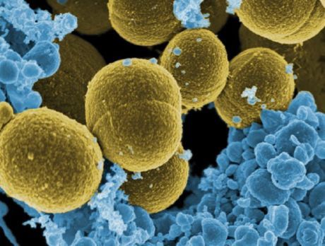 Gripa intestinala: informatii importante despre inamic