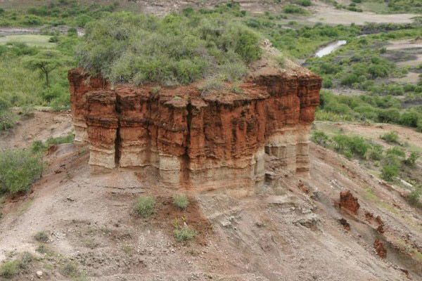 Sharp schimbările climatice au afectat evoluția umană