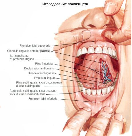 Cavitatea orală