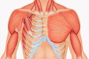 Sindromul Poloniei: cauze, simptome, diagnostic, tratament