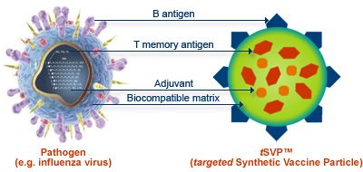 Un vaccin sintetic complex bazat pe molecule de ADN